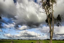 [国内球]发现中国之美 相约贵州村超.