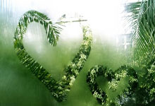 NBA首个扣篮大赛三连冠得主 发展联盟球员麦克朗创历史.